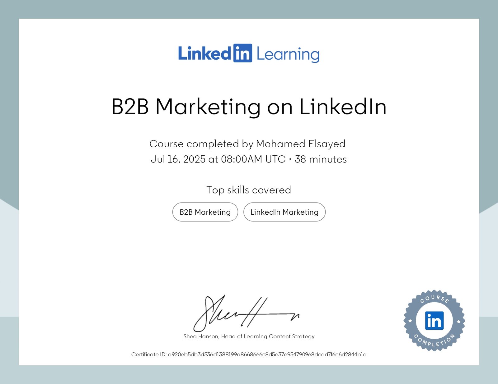 تسويق B2B على LinkedIn